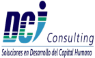 DCI Consulting